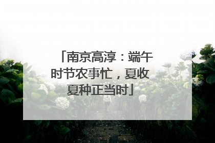 南京高淳：端午时节农事忙，夏收夏种正当时