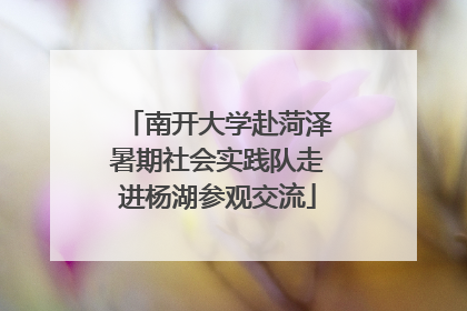 南开大学赴菏泽暑期社会实践队走进杨湖参观交流