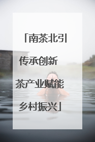 南茶北引传承创新 茶产业赋能乡村振兴