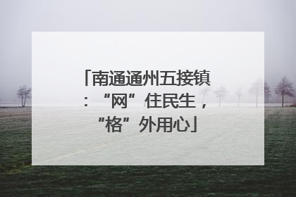 南通通州五接镇：“网”住民生，“格”外用心
