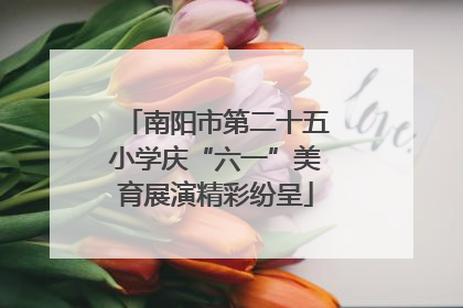 南阳市第二十五小学庆“六一”美育展演精彩纷呈