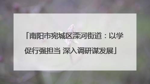 南阳市宛城区溧河街道：以学促行强担当 深入调研谋发展