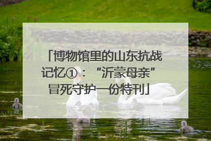 博物馆里的山东抗战记忆①：“沂蒙母亲”冒死守护一份特刊