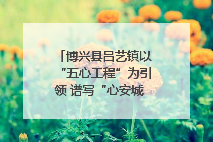 博兴县吕艺镇以“五心工程”为引领 谱写“心安城市”建设新篇章
