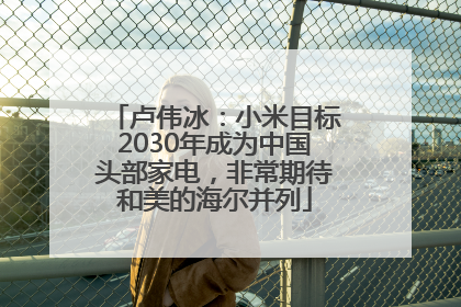 卢伟冰：小米目标2030年成为中国头部家电，非常期待和美的海尔并列