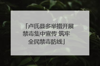 卢氏县多举措开展禁毒集中宣传 筑牢全民禁毒防线
