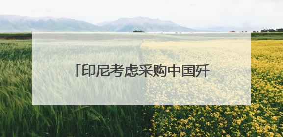 印尼考虑采购中国歼-10战斗机，正评估性能与成本优势