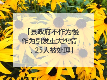 县政府不作为慢作为引发重大舆情，25人被处理