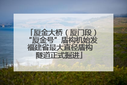 厦金大桥（厦门段）“厦金号”盾构机始发 福建省最大直径盾构隧道正式掘进