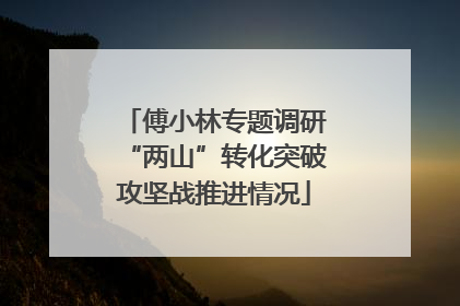 傅小林专题调研“两山”转化突破攻坚战推进情况