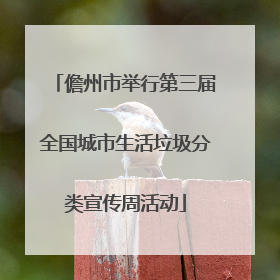 儋州市举行第三届全国城市生活垃圾分类宣传周活动