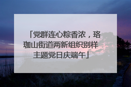 党群连心粽香浓，珞珈山街道两新组织别样主题党日庆端午