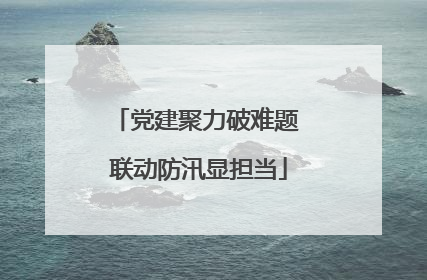 党建聚力破难题 联动防汛显担当