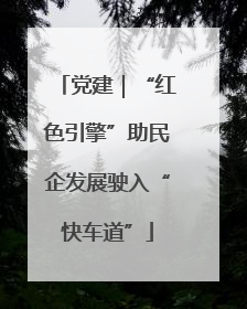 党建｜“红色引擎”助民企发展驶入“快车道”