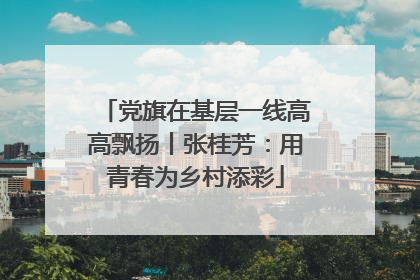 党旗在基层一线高高飘扬丨张桂芳：用青春为乡村添彩