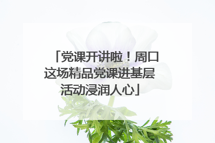 党课开讲啦！周口这场精品党课进基层活动浸润人心