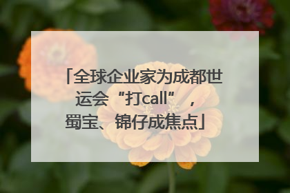 全球企业家为成都世运会“打call”，蜀宝、锦仔成焦点