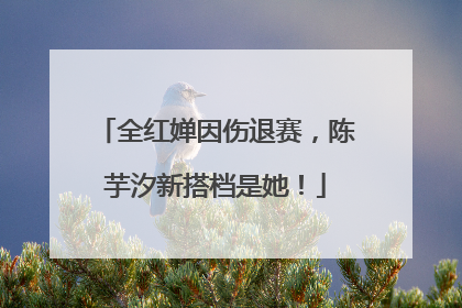全红婵因伤退赛，陈芋汐新搭档是她！