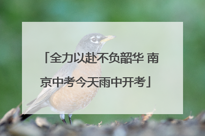 全力以赴不负韶华 南京中考今天雨中开考