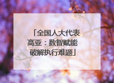 全国人大代表高亚：数智赋能破解执行难题
