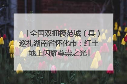 全国双拥模范城（县）巡礼湖南省怀化市：红土地上闪耀尊崇之光