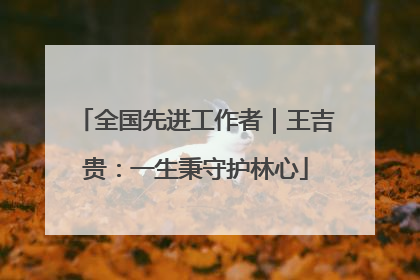 全国先进工作者｜王吉贵：一生秉守护林心
