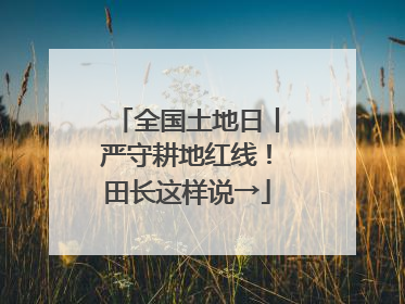 全国土地日丨严守耕地红线！田长这样说→