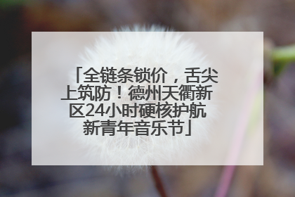 全链条锁价，舌尖上筑防！德州天衢新区24小时硬核护航新青年音乐节