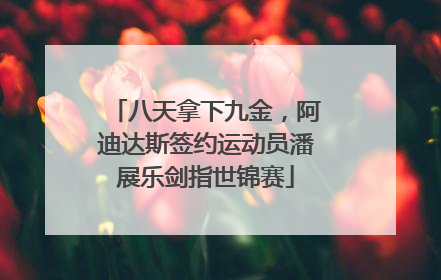 八天拿下九金，阿迪达斯签约运动员潘展乐剑指世锦赛