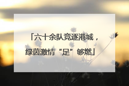 六十余队竞逐港城，绿茵激情“足”够燃