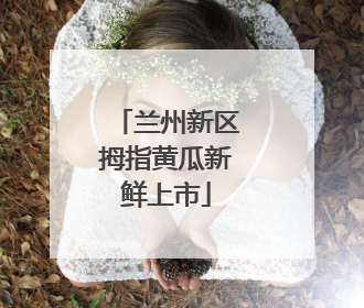 兰州新区拇指黄瓜新鲜上市