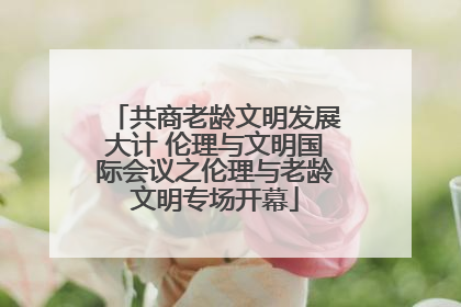 共商老龄文明发展大计 伦理与文明国际会议之伦理与老龄文明专场开幕