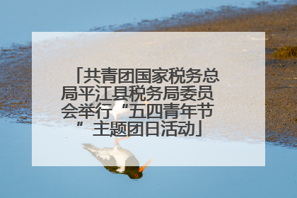 共青团国家税务总局平江县税务局委员会举行“五四青年节”主题团日活动