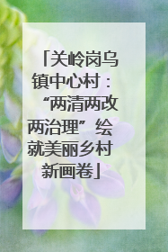 关岭岗乌镇中心村：“两清两改两治理”绘就美丽乡村新画卷