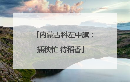 内蒙古科左中旗：插秧忙 待稻香