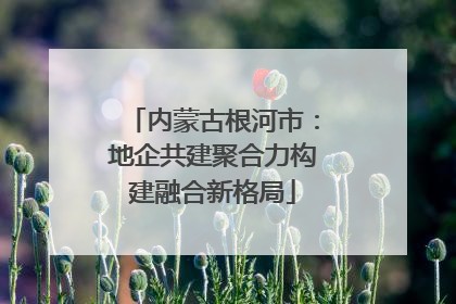 内蒙古根河市：地企共建聚合力构建融合新格局