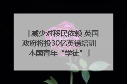 减少对移民依赖 英国政府将投30亿英镑培训本国青年“学徒”