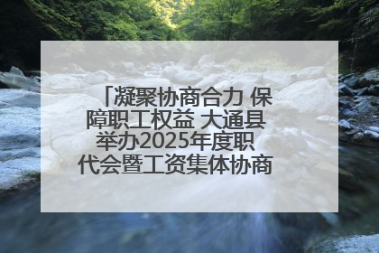 凝聚协商合力 保障职工权益 大通县举办2025年度职代会暨工资集体协商现场观摩交流活动