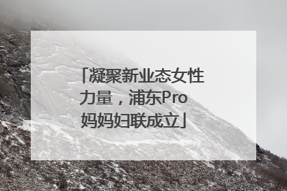 凝聚新业态女性力量，浦东Pro妈妈妇联成立
