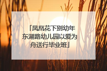 凤凰花下别幼年 东湖路幼儿园以爱为舟送行毕业班