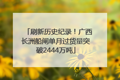 刷新历史纪录！广西长洲船闸单月过货量突破2444万吨