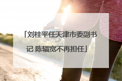 刘桂平任天津市委副书记 陈辐宽不再担任