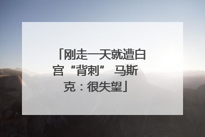 刚走一天就遭白宫“背刺” 马斯克：很失望