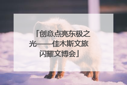 创意点亮东极之光——佳木斯文旅闪耀文博会