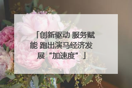 创新驱动 服务赋能 跑出演马经济发展“加速度”