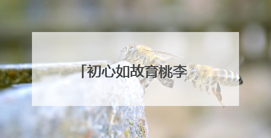 初心如故育桃李 跨界耕耘守花开