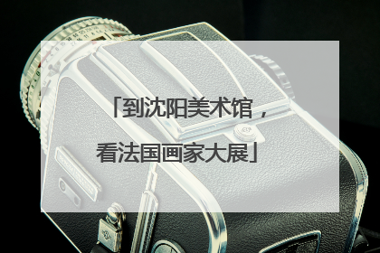 到沈阳美术馆，看法国画家大展