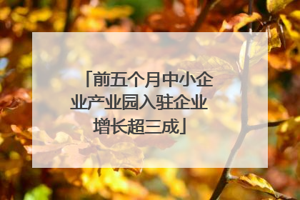 前五个月中小企业产业园入驻企业增长超三成