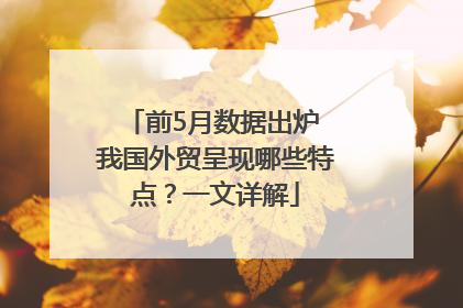 前5月数据出炉 我国外贸呈现哪些特点？一文详解