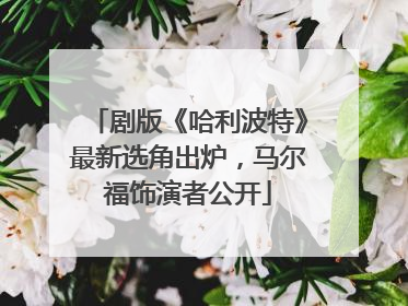 剧版《哈利波特》最新选角出炉，马尔福饰演者公开